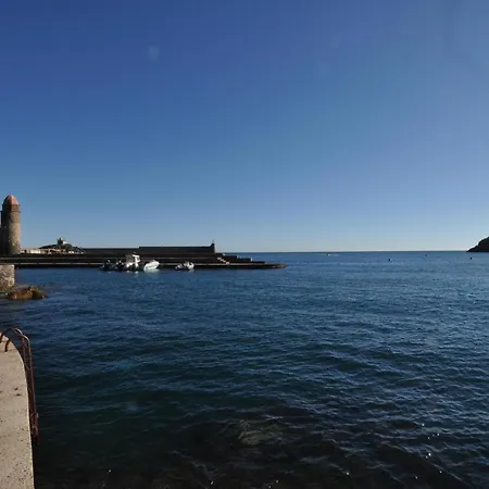Amazing In Collioure